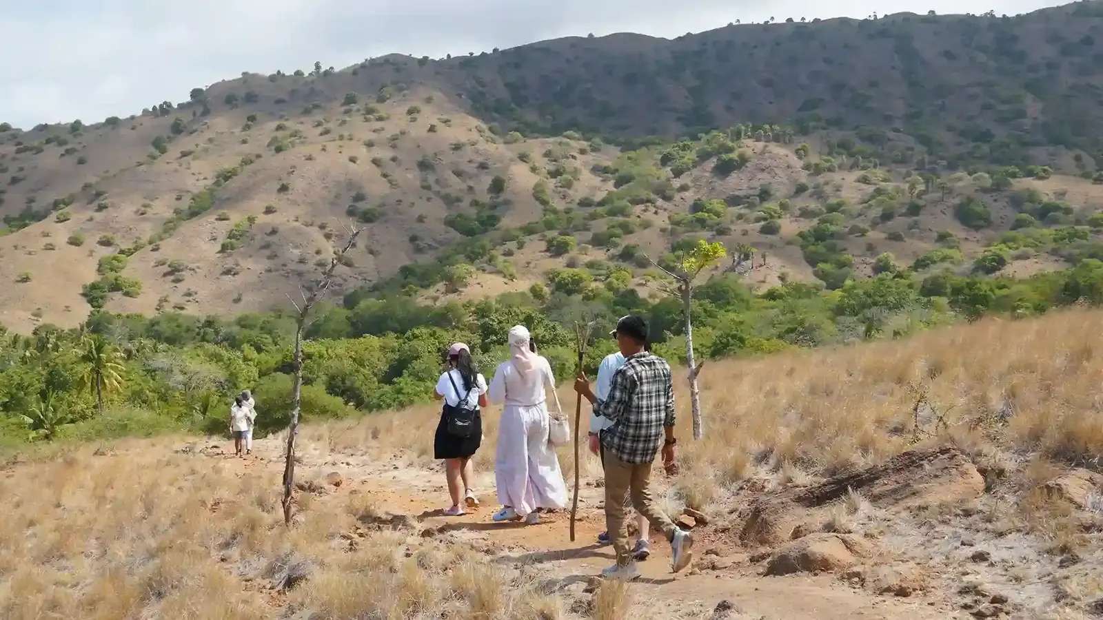 Visitors hiking a dry savanna trail with a local guide carrying a forked stick on Rinca Island