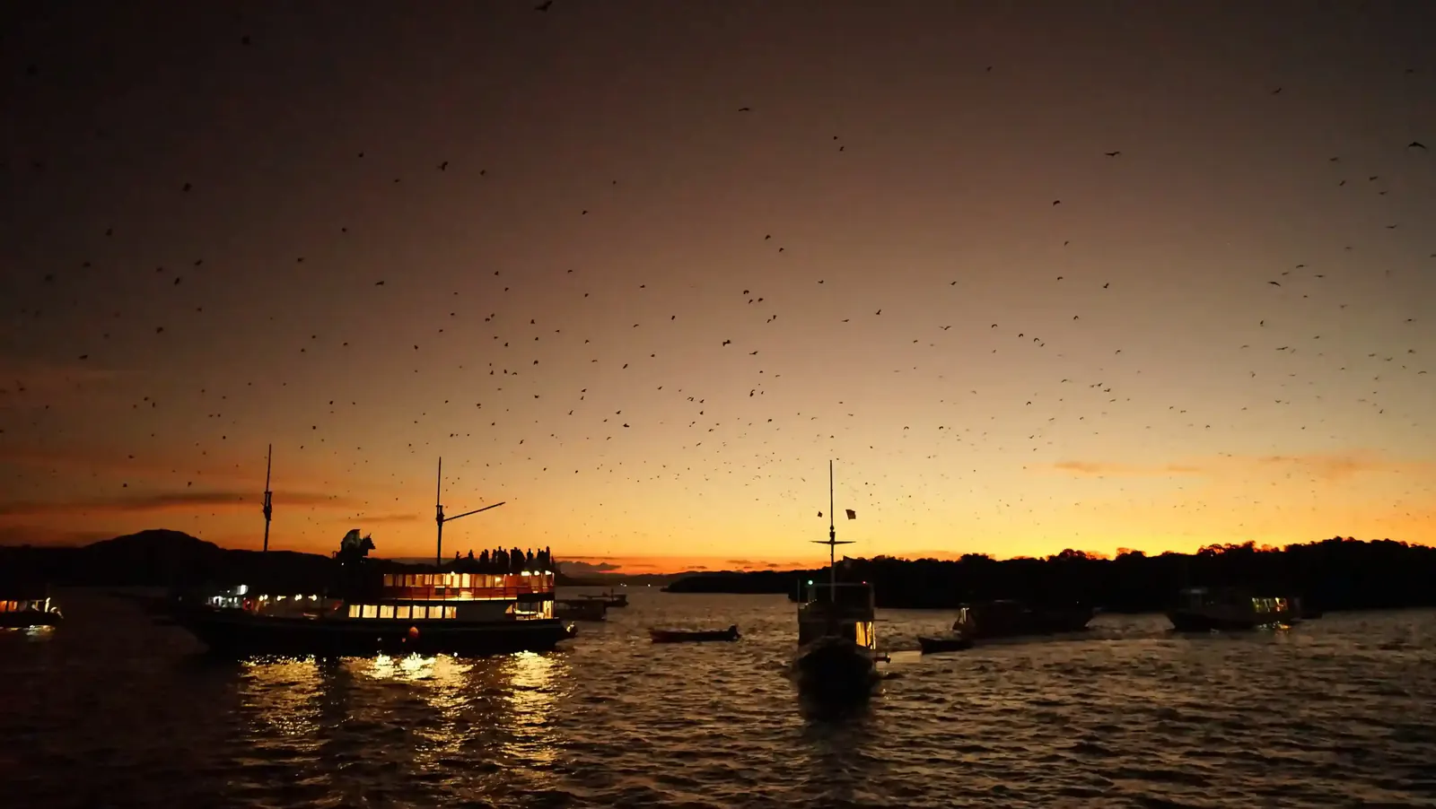 Flying foxes filling the dusk sky above anchored boats off Kalong Island, Komodo