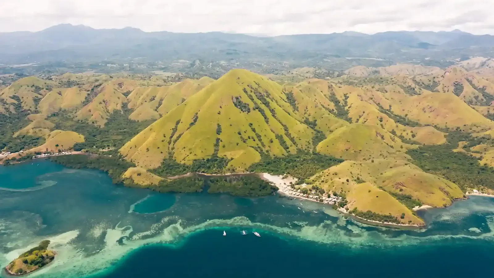 Aerial view of grassy Komodo-area hills, reef-fringed coastline and deep blue sea