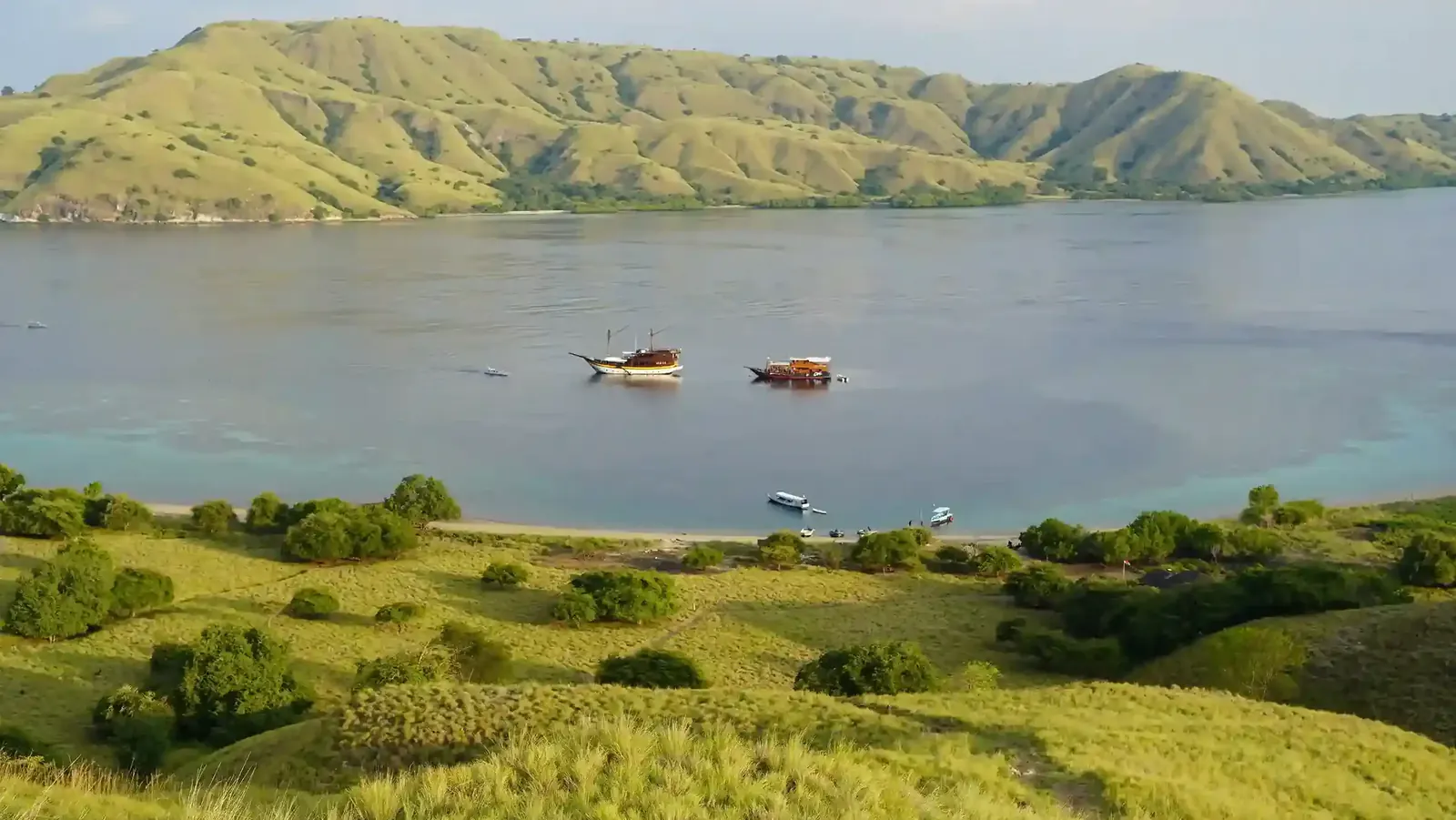 Green savanna hills above a calm bay with anchored phinisi boats at Gili Lawa, Komodo
