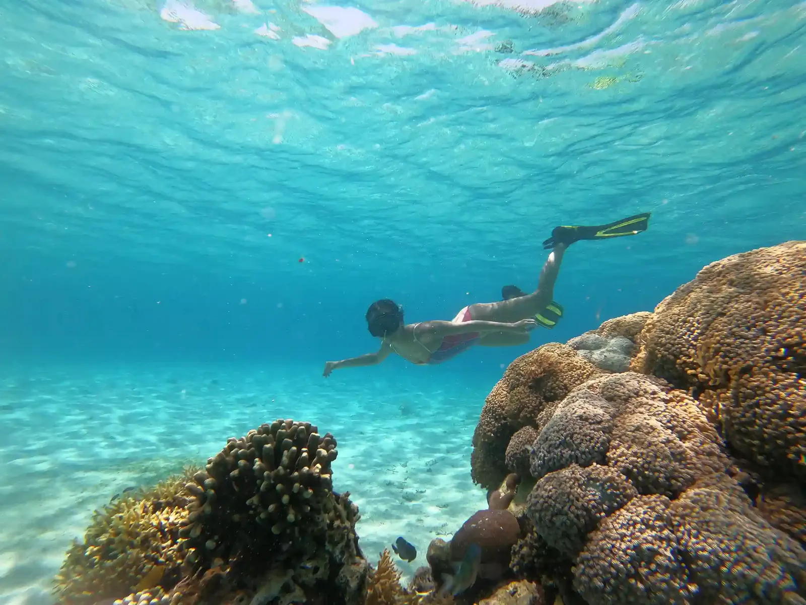Snorkeller in fins diving down beside boulder corals in clear turquoise water