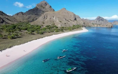 Pink Beach | Komodo National Park