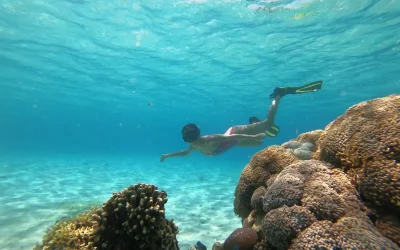 Siaba Island | Komodo National Park