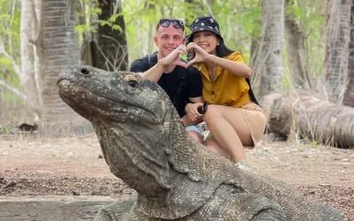 Komodo Island | Komodo National Park