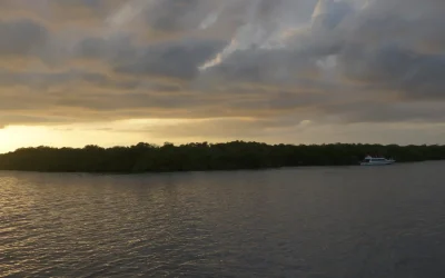 Kalong Island | Komodo National Park